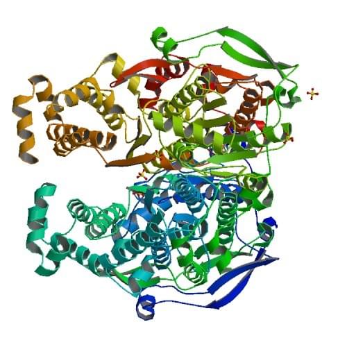  Figure: The crystal structure of a pyrophosphate-dependent phosphofructokinase from the Lyme disease spirochete Borrelia burgdorferi.